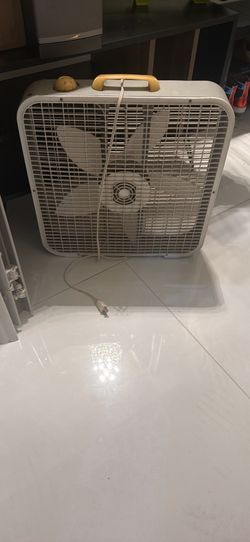 Fan