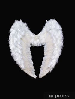 Angel Wings