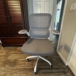 Ergonomic Office Chair