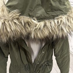 Hollister Jacket/coat