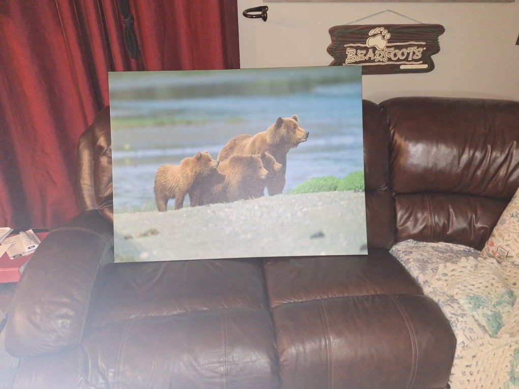 Bear Canvas Picture