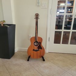 Taylor GS Mini 