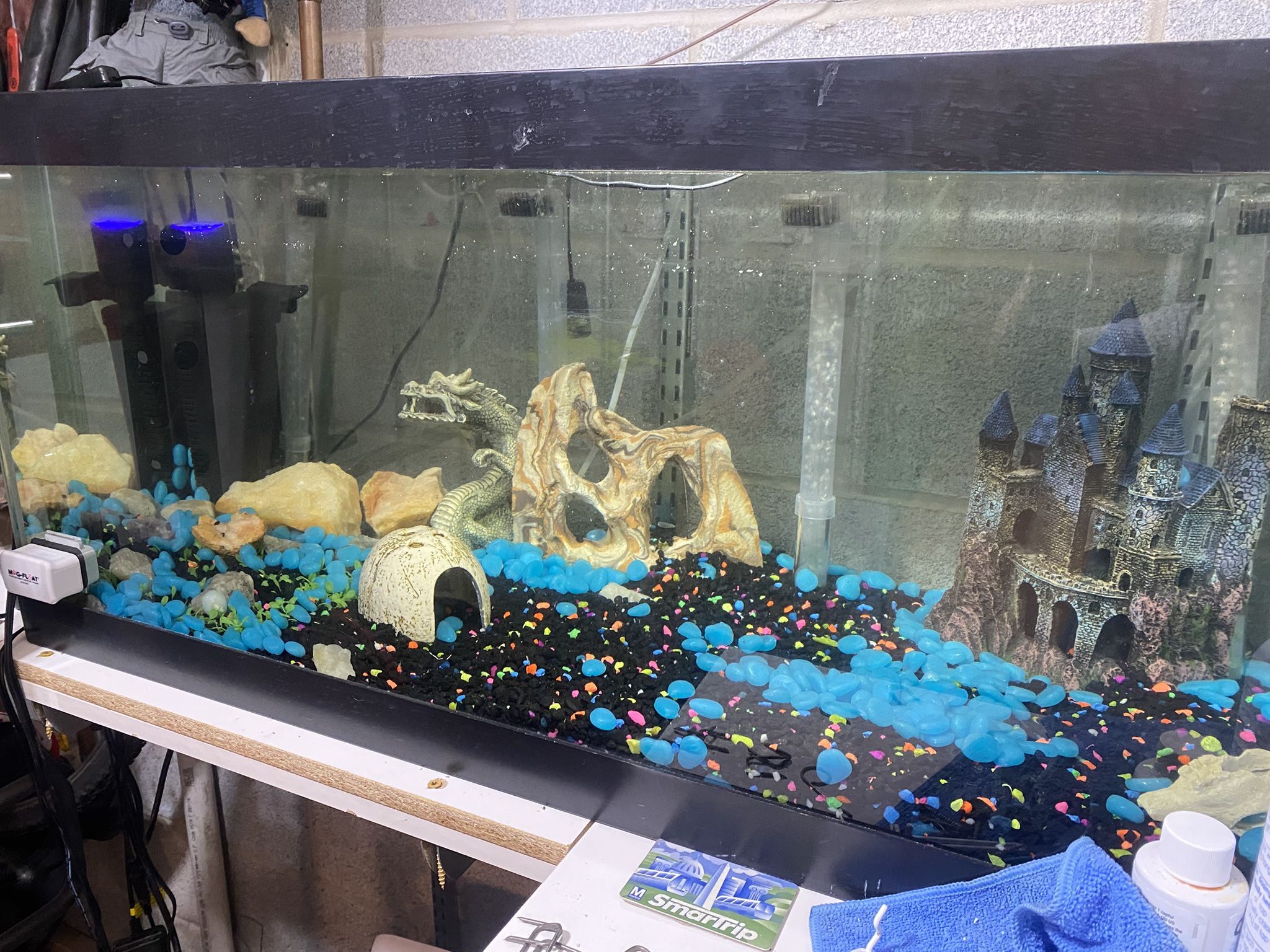 60 Gallon Fish Tank