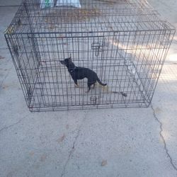 Collapsible Dog Kennel