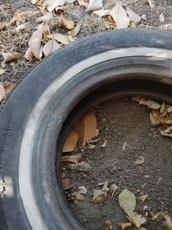 15" tires. One white wall. $10 each. Have 3 for sale