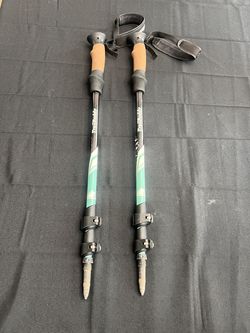 Trail buddy adjustable hiking sticks