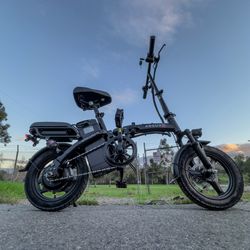 Electric Bike