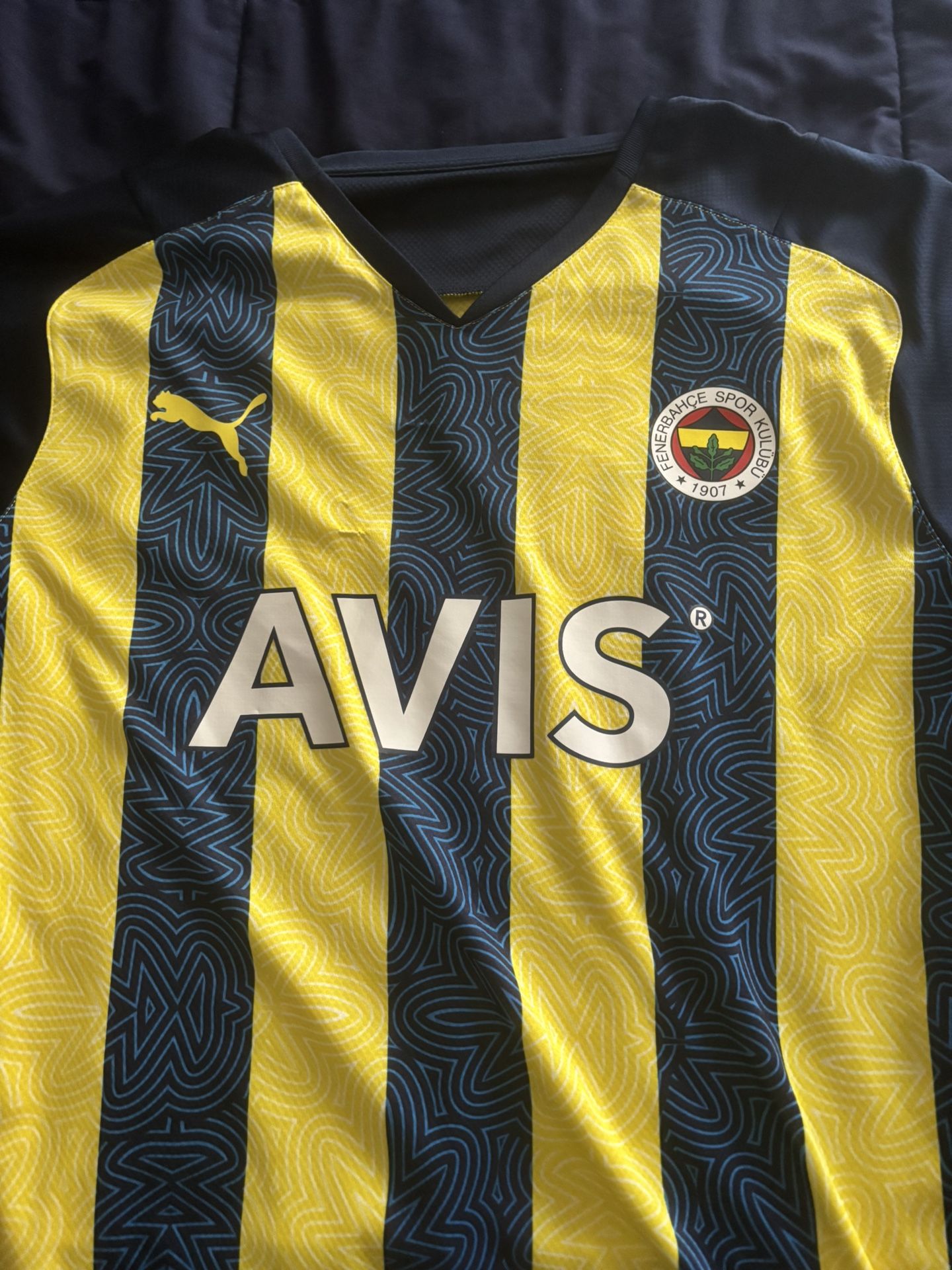 Fenerbahce 21/22 Jersey
