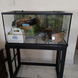 40g Tank And Stand 