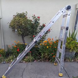 Gorilla Ladder 16'