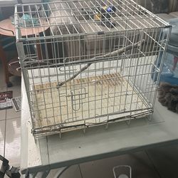 Medium Size Bird Cage