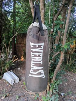 Everlast body punching bag
