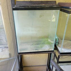 Fish Tank