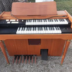 Lauwrey Organ