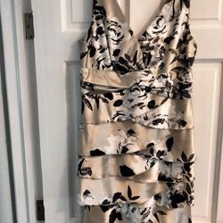 Ladies Size LG. LeChateau dress