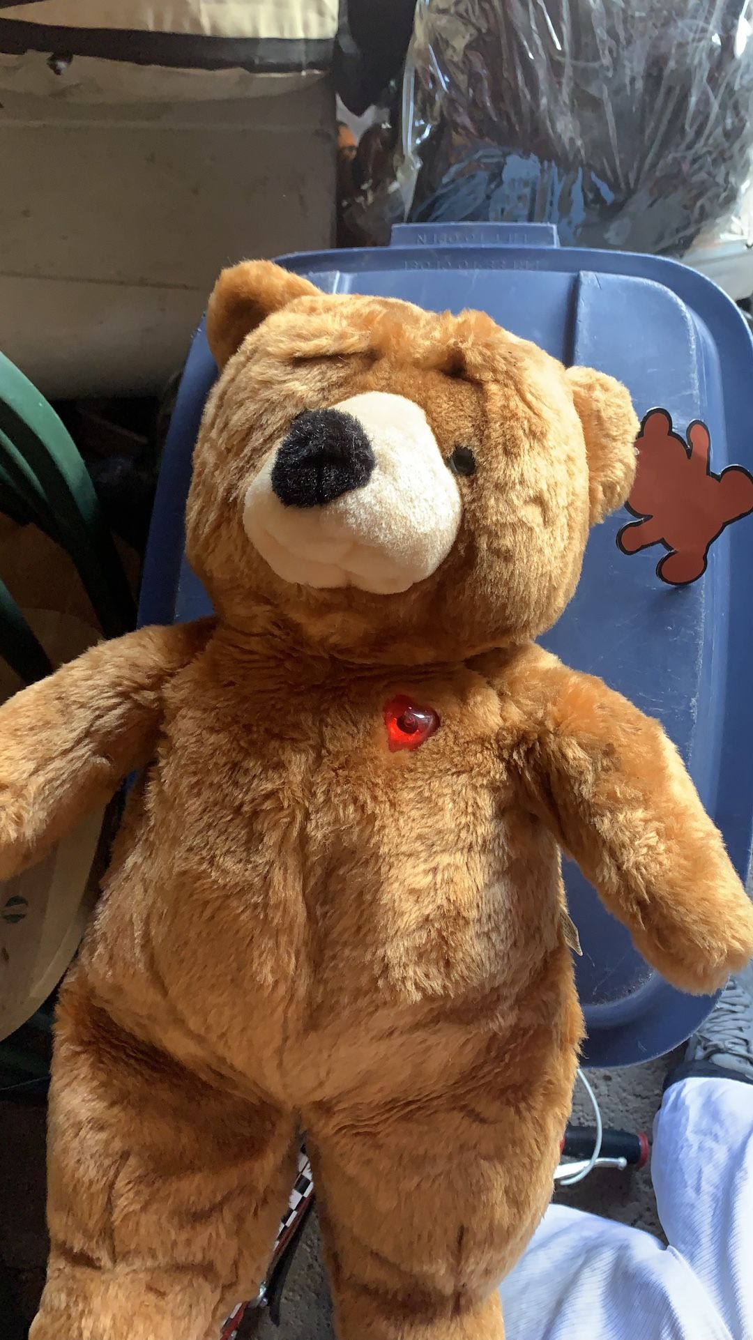 Talking Teddy Bear