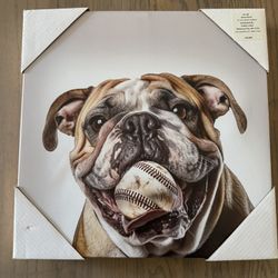 Bulldog baseball Picture