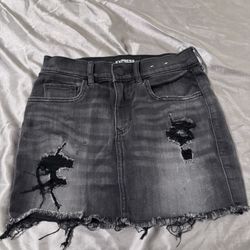 Express Straight Mini Mid Ride Denim Skirt