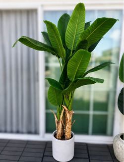 🌿 Large Artificial Bird of Paradise Plant + Planter – $130 🌿  Beautiful large artificial Bird of Paradise plant with realistic oversized green leave