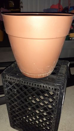 Plant pot