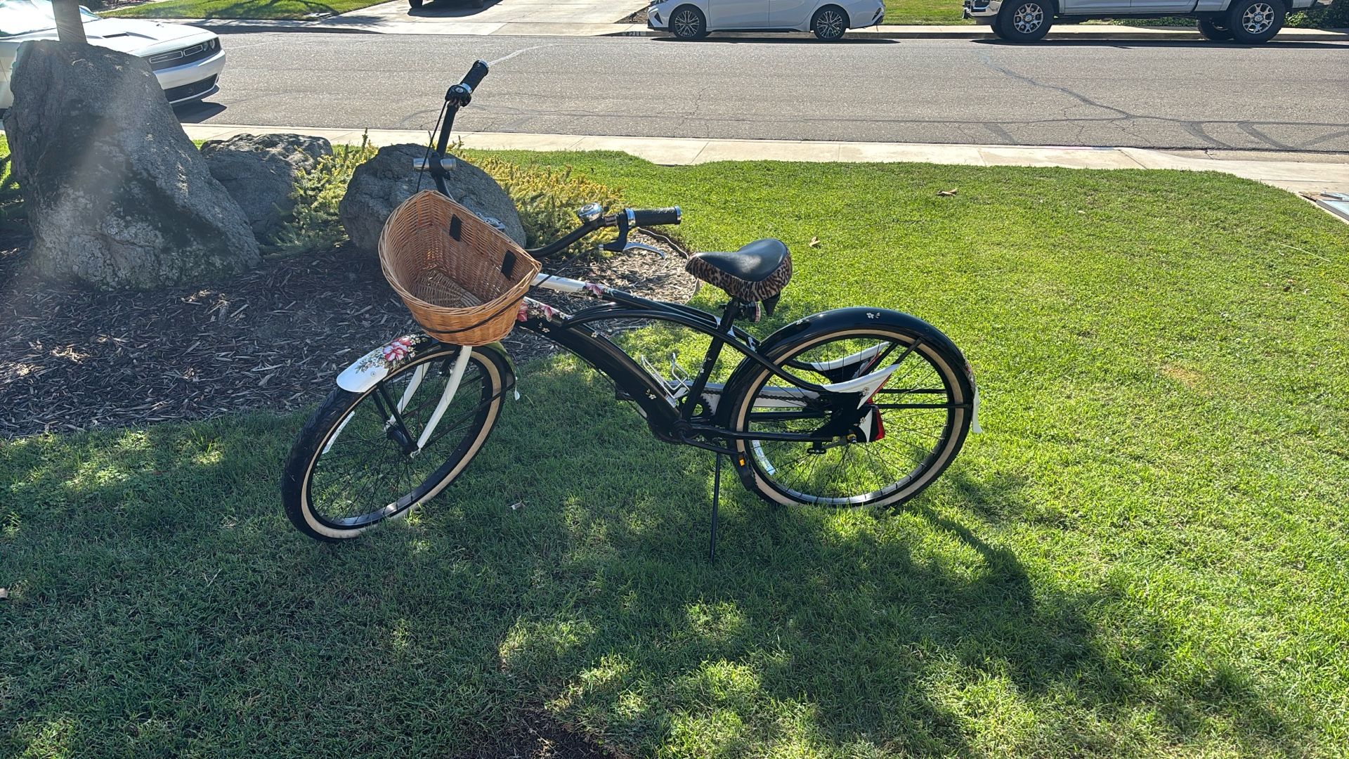 Phat Beach Cruiser