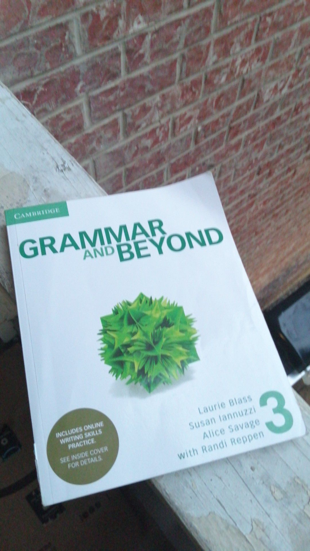 Cambridge Grammar and beyond (3) Advanced level