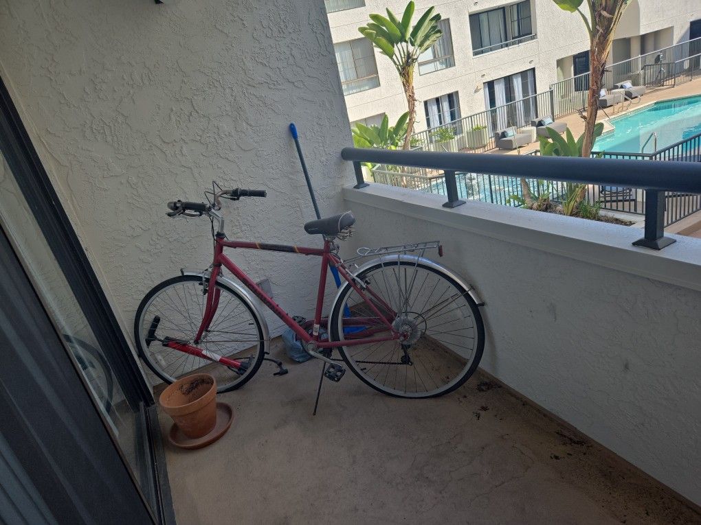 Schinne Bike