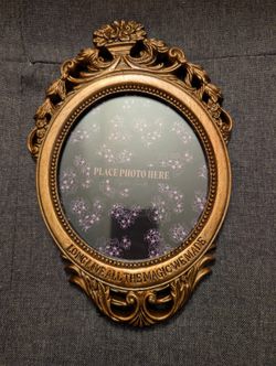 Taylor Swift speak now era Long live all the magic we made picture frame in hand