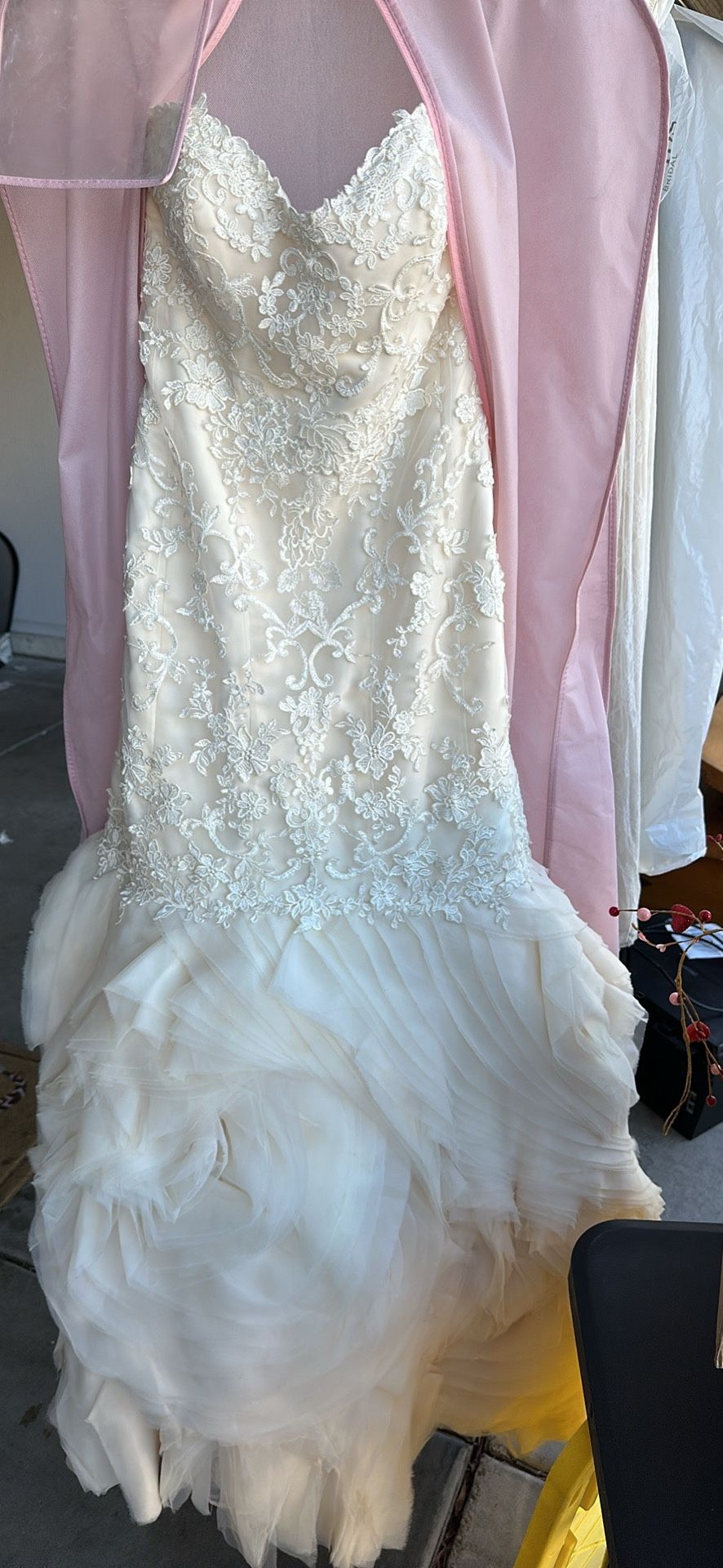 Wedding Gown & Veil
