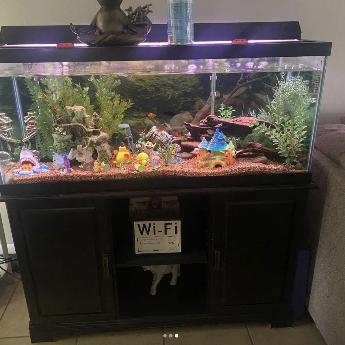 Selling55 Gallon Fish Tank / Cabinet With Fish And Snails