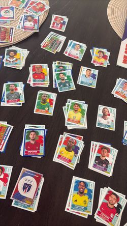 Panini World Cup Stickers