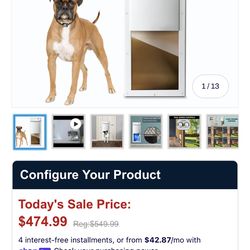 High tech pet Power pet Fully automatic pet door