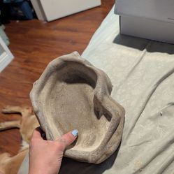 Reptile pool / water bowl