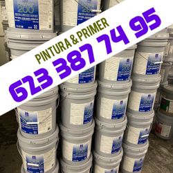 Pintura Nueva 