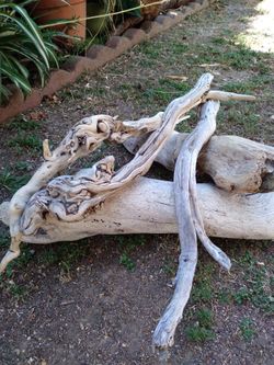 5 pieces natural Driftwood for aquariums terrariums decor