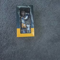 Aaron, Donald Bobble Head