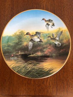 Green-Wings at the Morning Marsh'Collector Plate by Lynn Kaatz