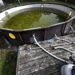 Bestway/Coleman 18 ft Round Above Ground Pool