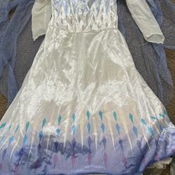 Elsa Frozen Halloween Costume 