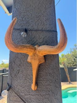 Wall Hanging Longhorn Skull - Indoor/Outdoor