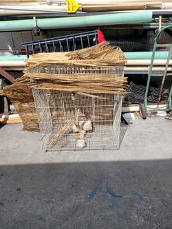 Bird Cage 