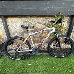 Mountain Bike/BMX Bike