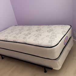 New Twin Mattress And Box Spring 2 Pc Bed Frame Is Not Included 