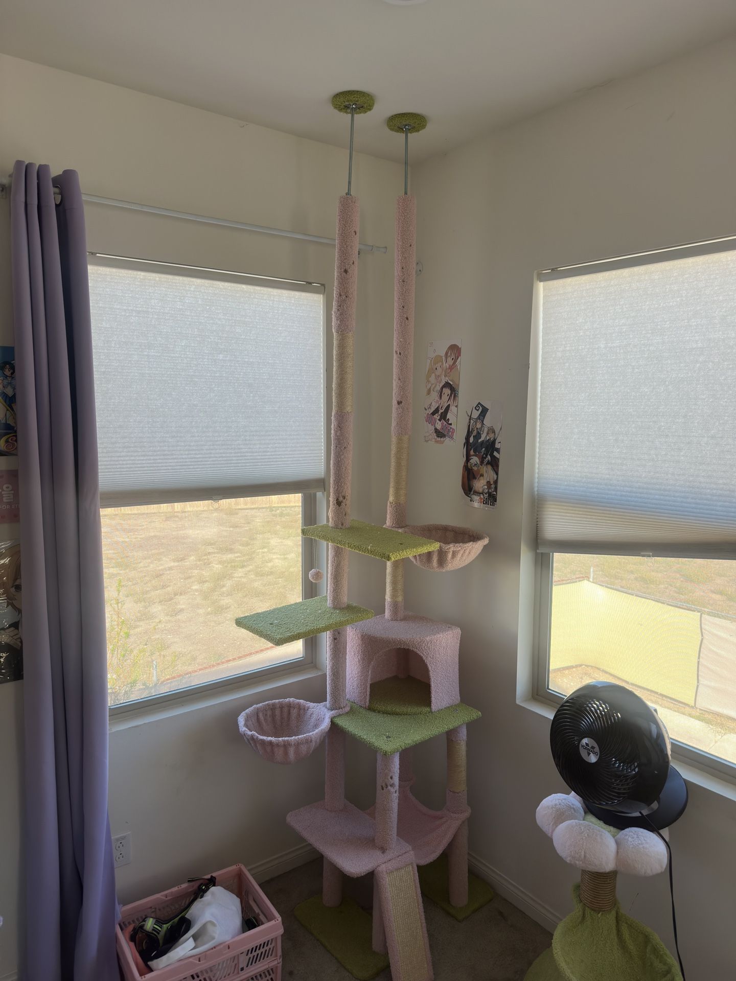 large ceiling cat tree 