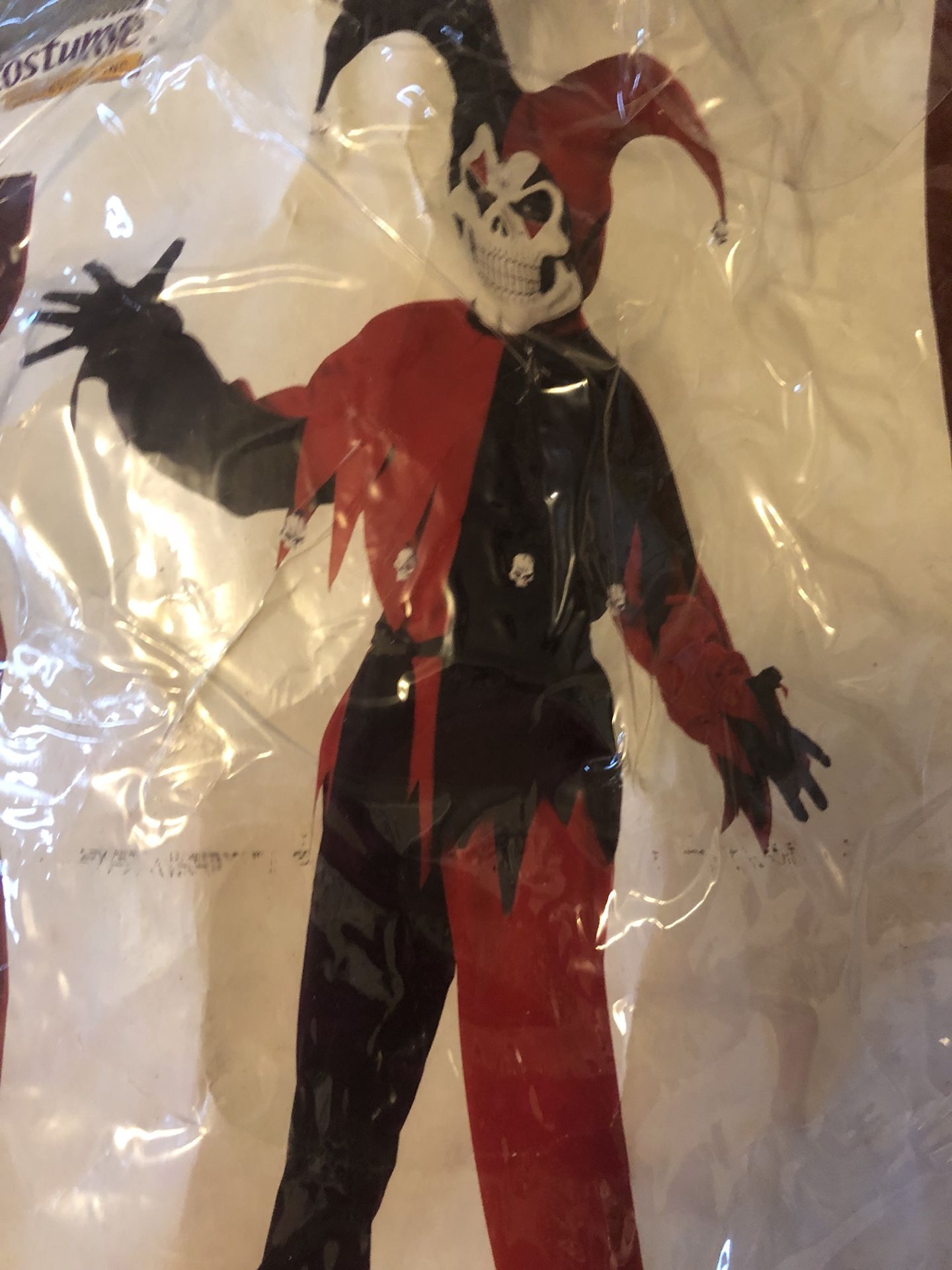 Joker Jester Halloween costume size large boys