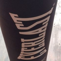 Everlast Punching Bag