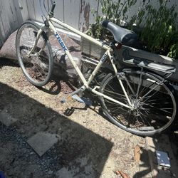 two beach cruises, Dirt back  