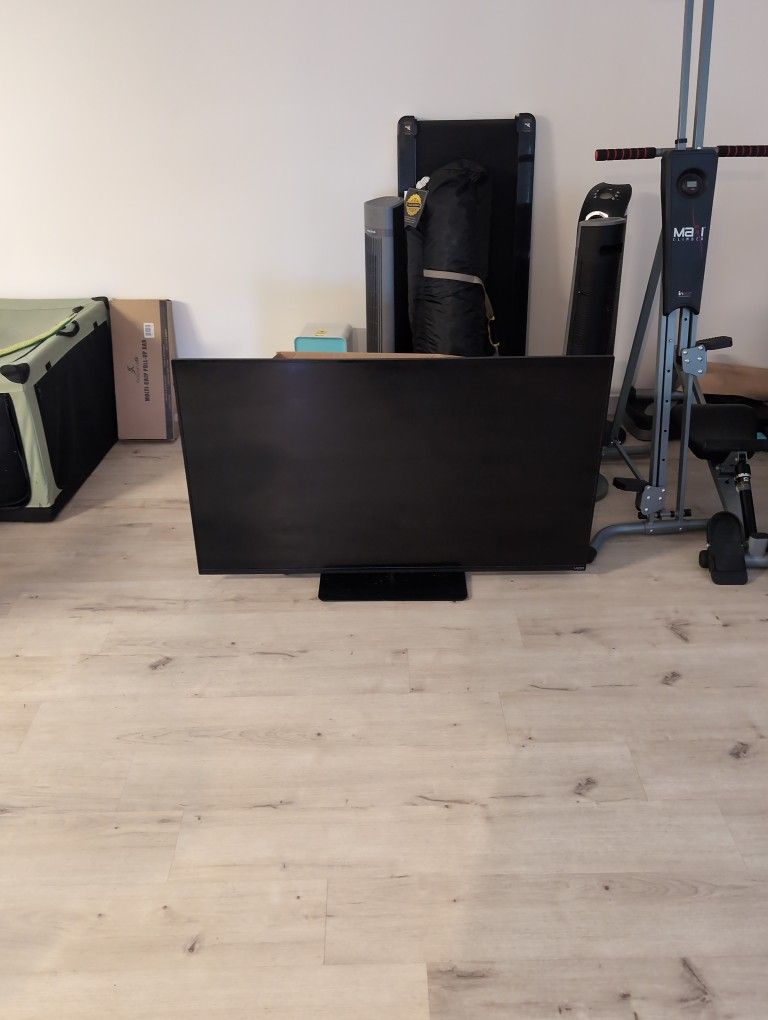 Vizio 55in Smart Tv