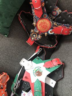 Dog Harness