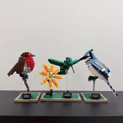LEGO Ideas Birds Set 21301